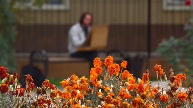 Шымкент Фонтан Тюльпан Зарисовки. Ильдар Абдрашитов смотреть онлайн