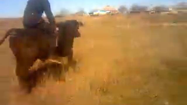 хорошо прокатился ржунемогу ржач смешно прикол.3gp смотреть онлайн