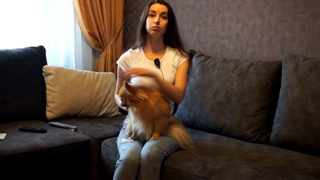 Отзыв о фабрике Савлуков-Мебель и диване Mercury смотреть онлайн