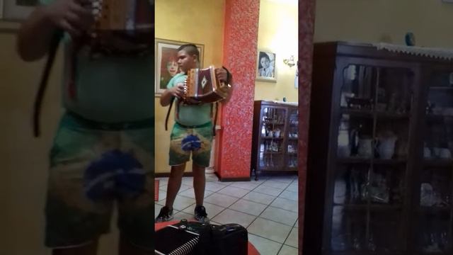 Saltarello Abbruzzese eseguito da De Ruvo Gabriel смотреть онлайн