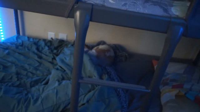 A Teenage Streamer's Setup/Room Tour