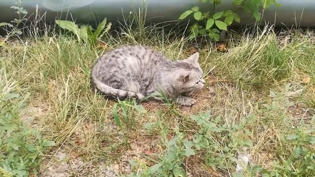 Несколько раз стоило забрать племянника из детсада Теперь сестра обижается, что я отказалась смотреть онлайн