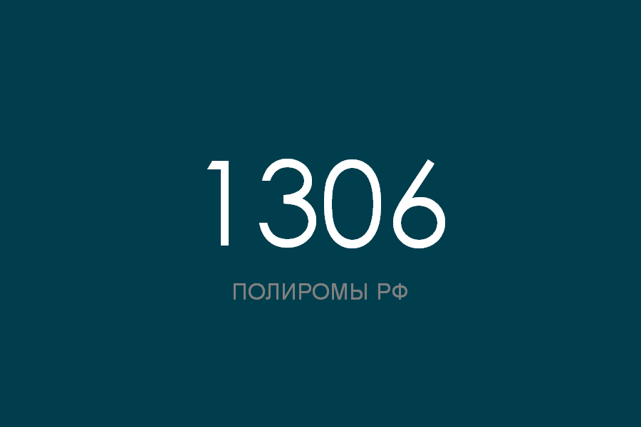 ПОЛИРОМ номер 1306 смотреть онлайн