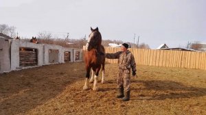 Владимирский тяжеловоз. 3ГОДА НЕ ПРОДАЁТСЯ.