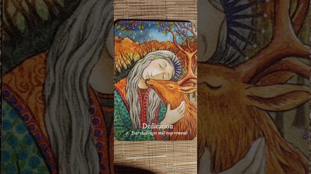 Dedication ? Goddess Love Oracle card meaning смотреть онлайн