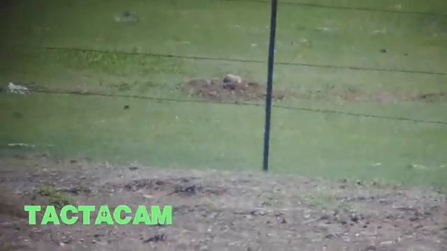 Prairie Dog Hunt - 2021 смотреть онлайн