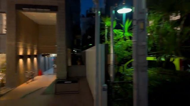 4K60HLG【アートな夜散歩】表参道交差点から南青山 2024 東京 Japan смотреть онлайн