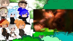 🪐 реакция шаранутого космоса на природу-жизнь на земле 🪐