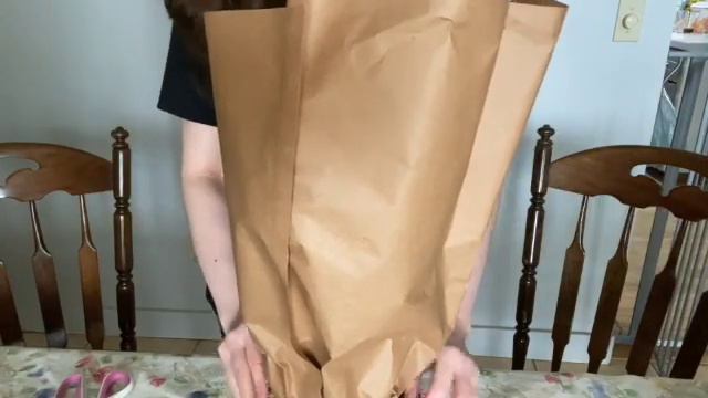 Unboxing Costa Farms Silver Dragon Alocasia смотреть онлайн