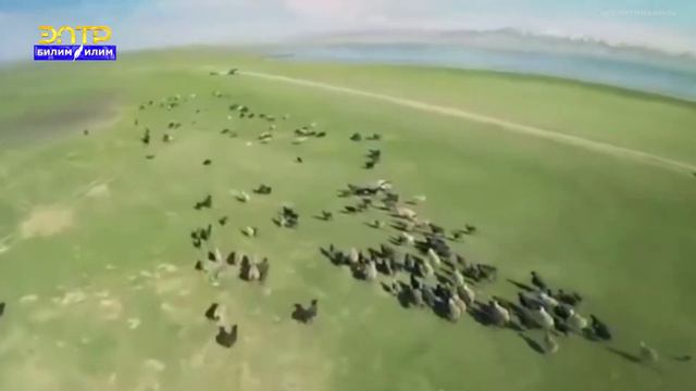 Молдо Нияз //Өмүр баян смотреть онлайн