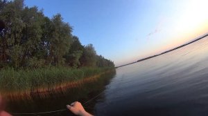 Рыбалка на сети,поставил ячею 80,что же там попалось...