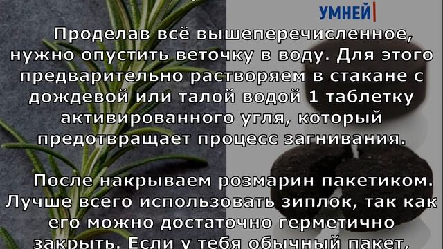 Как вырастить РОЗМАРИН дома? Простая инструкция смотреть онлайн