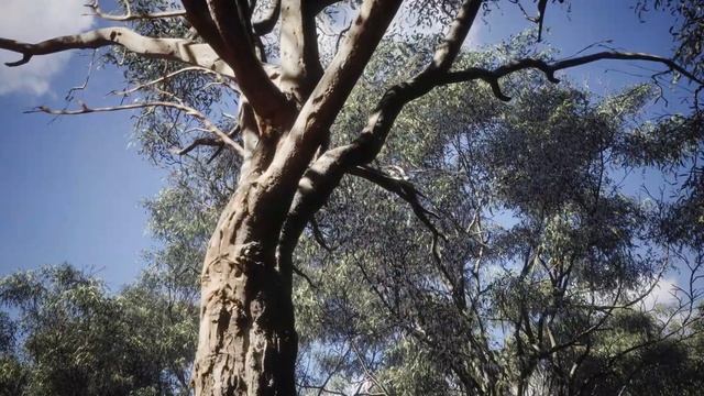 Unreal Engine 5: 8K CINEMATIC RENDER смотреть онлайн