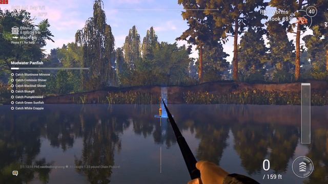Fishing Planet, Mudwater Panfish, Blacktail Shiner, Low level player смотреть онлайн