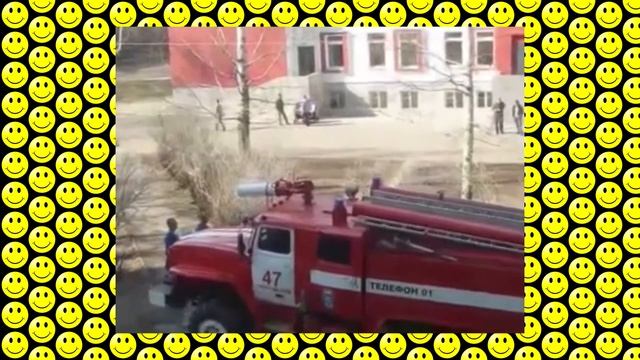 Firefighters blast cat off tree (Лучший способ снять кота с дерева) смотреть онлайн