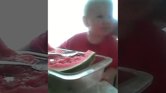 Вот так надо есть арбуз!!!! Учитесь. смотреть онлайн