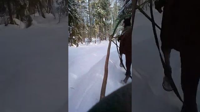 За дровами на лошади 4 смотреть онлайн