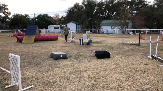 Trick Dobby смотреть онлайн