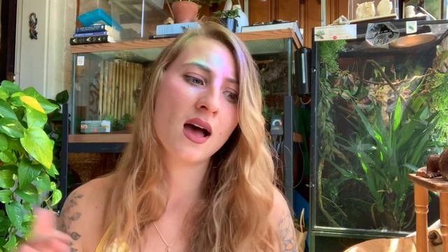 10 Common Green Tree Python Mistakes смотреть онлайн