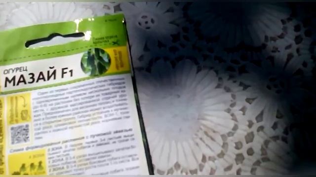 Лучшие гибриды огурцов с прекрасной урожайностью, для выращивания в теплице. смотреть онлайн