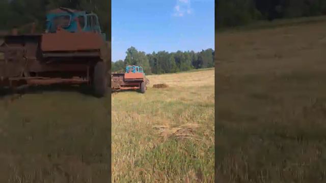 прес киргистан заготовка сена 2018 смотреть онлайн