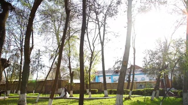 Express свадьба 2021 смотреть онлайн