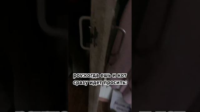 Назввние опять сожрало животное смотреть онлайн