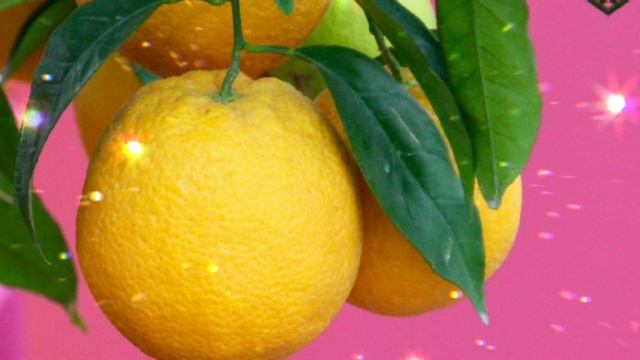 КАК ВЫЛЕЧИТЬ САМЫЙ СИЛЬНЫЙ КАШЕЛЬ ? ЛУЧШЕЕ СРЕДСТВО от КАШЛЯ! смотреть онлайн