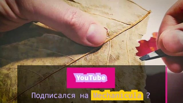 Гусеница из осенних листьев. Поделки из гербария. Осенние поделки смотреть онлайн