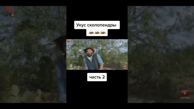 укус сколопендры смотреть онлайн