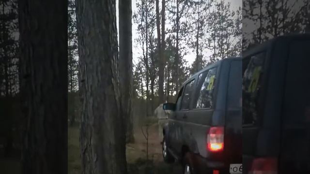 Лебёдка Electric Winch 12000. Первая проверка. смотреть онлайн