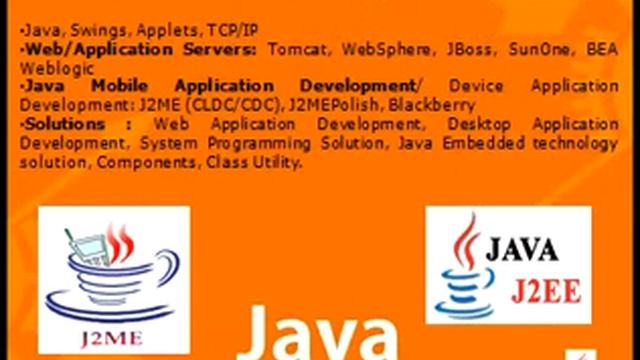 Java Application Development Services on Different Platforms смотреть онлайн