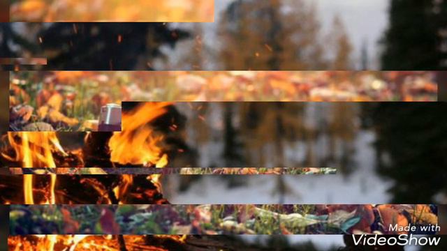 Autumn Music | çalıkuşu generik смотреть онлайн