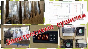 Электросхема сушилки для рыбы и грибов