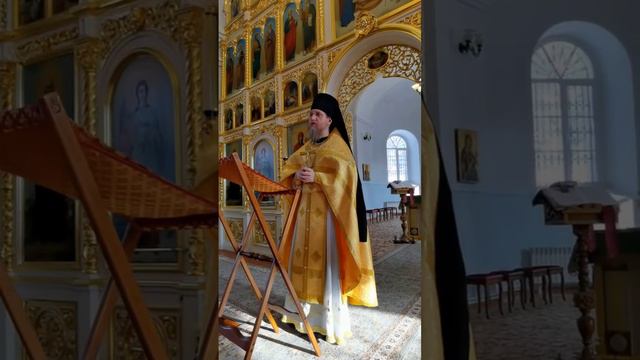 Проповедь в Неделю Мытаря и фарисея. 05.02.2023 смотреть онлайн