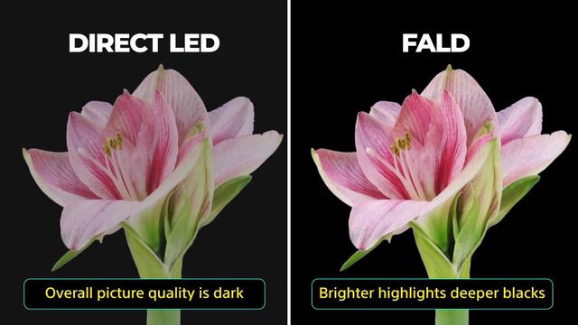 Edge LED vs Direct LED vs Full Array 📺💥¿Cuál es EL MEJOR SISTEMA EN TV LED? смотреть онлайн