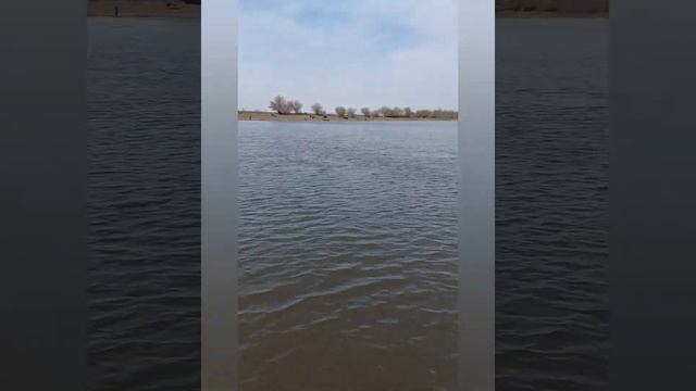 Весенняя вобла, рыбалка в Астраханской области. Вобла - Гигант - герой 2021 года!