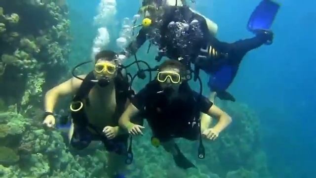 Красное море Хургада смотреть онлайн
