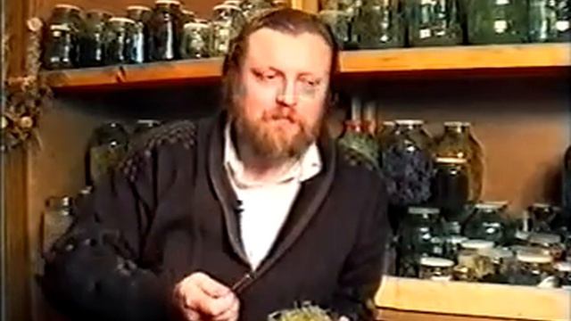 11 горец почечуйный смотреть онлайн