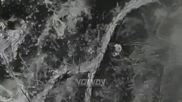 СВО Главное