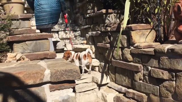 Неделя в деревне.ЧТО ЖЕ СЛУЧИЛОСЬ С НАСТЕЙ??? смотреть онлайн