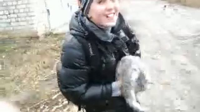 Новая реклама вискаса от ТАРАСА!!! смотреть онлайн