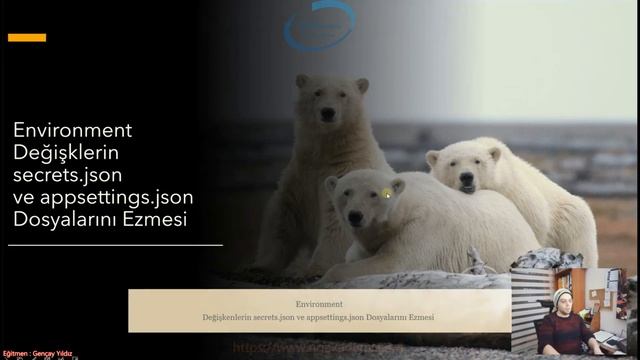 48) Asp.NET Core 5.0 - Environment Nedir? Nasıl Kullanılır? (Docker Üzerinden Örneklendirme) смотреть онлайн