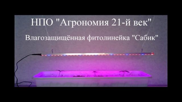 Влагозащищённая фитолинейка для выращивания рассады и досвечивания растений «Сабик» смотреть онлайн