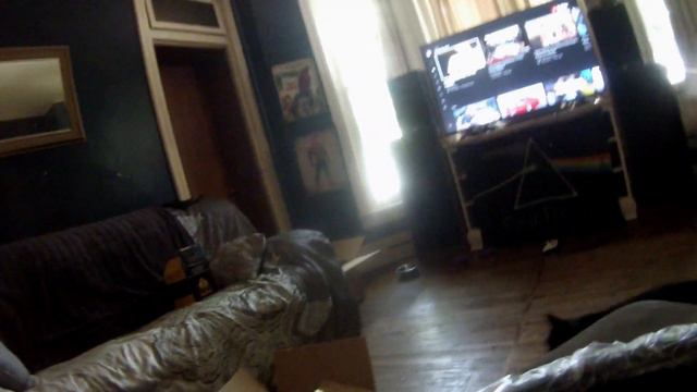 FORESTER EBAY FENDER FLARE UNBOXING смотреть онлайн