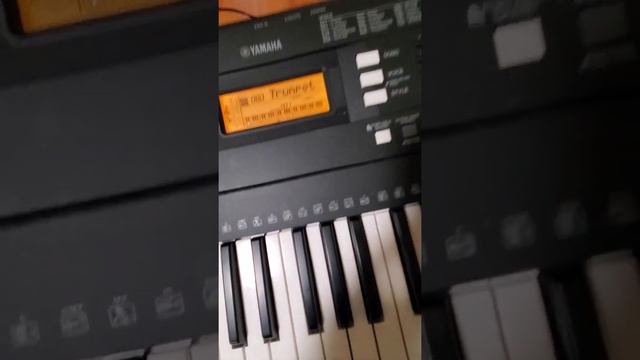 funciones de yamaha psr e343 смотреть онлайн