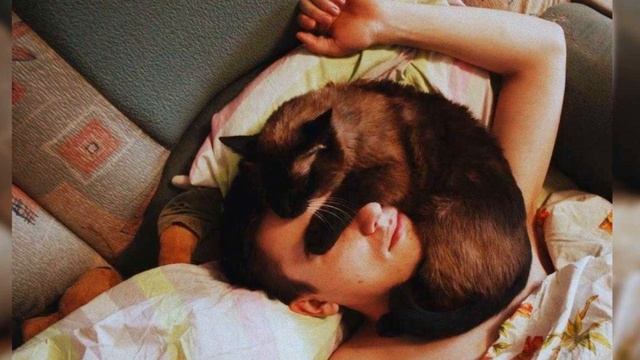 Почему кошки спят на человеке