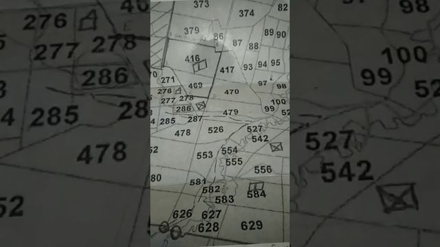 обозначаем кварталы угодий охота на соболя смотреть онлайн