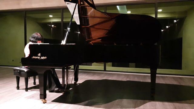 Brahms Variations on a theme by Schumann (fragment) from Svetlana Navassardian rehearsal смотреть онлайн