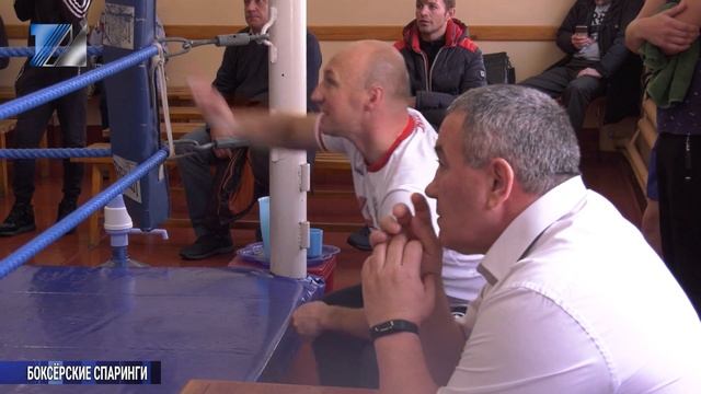 Боксёрские спаринги смотреть онлайн